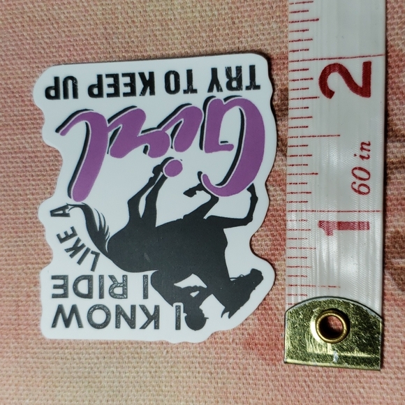 *(A) Cowgirl Sticker Western Decor Farm Girl Horse Girl Equestrian - Picture 3 of 4